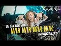 DJ Wik Wik Wik Ah Ah Ah Aisyah