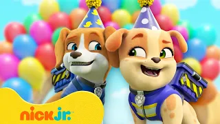 Rubble | 1 hora dos MELHORES aniversários e festas do Rubble! 🎂🎉 | Nick Jr. em Português