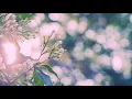 รักคุณเข้าอีกแล้ว - BOYdPOD
