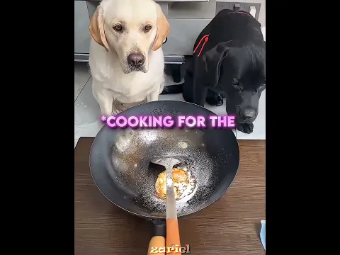 He Just Wanted To Be Treated The Same ❤️