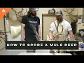 How To Score A Mule Deer