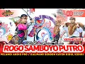 Download Lagu KEPANG BARU‼️TARI PERANG CELENG SRENGGI Jaranan ROGO SAMBOYO PUTRO Live Senden Kayen Kidul Kediri