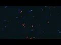 Sufjan Stevens - Meditation III - Convocations [Official Audio and Visual]