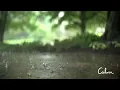 Rain Sounds for Relaxing, Focus or Deep Sleep | Nature White Noise | 8 Hour Video