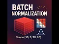 Batch Normalization Explained with Animations No Sound