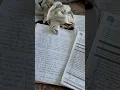 county detention center killing humans on purpose corruption