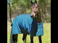 Horse Blankets for Your Horse