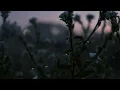 J. Maya - Three Specters (slowed + reverb)