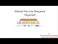 Bioinformatics Global Pairwise Sequence Alignment