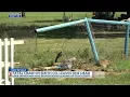 1 dead after single vehicle crash on FM 14 in Tyler