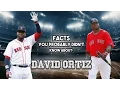 15 AWESOME Facts You Probably Didn t Know About David Ortiz