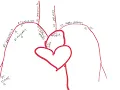 Circulatory System Notes LT 3 Superficial Arteries NEW