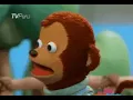 Shocked monkey gif