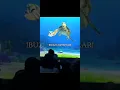 MATCHING ENERGY Turtle talk with crush