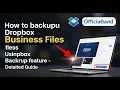How to backup Dropbox Business files using Dropbox Backup feature - Detailed Guide