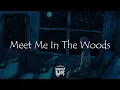 Lord Huron — Meet Me in the Woods (Sub. Español / Lyrics)