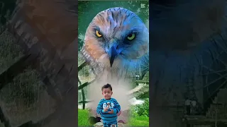 والصدر يخاوي صقر والصقر يخاوي صقر 