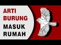 Arti Burung Masuk Rumah, Pertanda Apa