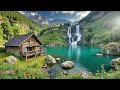 Beautiful Relaxing Music🌿Stop Overthinking, Stress Relief Music, Sleep Music, Calming Music