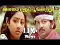 Download Lagu Ilamai Enum Poongatru--இளமை எனும் பூங்காற்று-S P Balasurahmanyam Melody H D Video Love Song