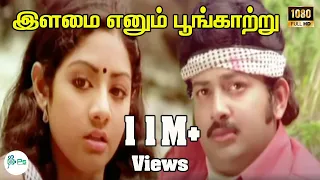 ilamai enum poongatru s p balasurahmanyam melody h d video love song