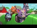 GO, DOG. GO! | Season 4 Trailer | Netflix