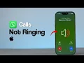 How to Fix WhatsApp Calls Not Ringing on iPhone