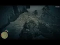 West Cumberland forest treasure map location RDR2 ONLINE #rdr2 #tutorial