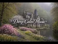 Sanctuary for the Soul Soft Cello Guitar for Relaxation Sleep