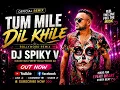 Tum Mile Dil Khile - Bollywood Remix | DJ SPIKY V | Official Remix 2026