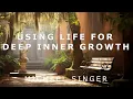 Michael Singer - Using Life for Deep Inner Growth
