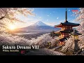 Sakura Dreams VIII | White Serenity 🌸 Solo Nylon Guitar for Sleep, Meditation & Relaxation #NylonZen