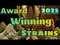 Award Winning Strains in 2025