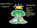 Vulnhub - Brainpan 1