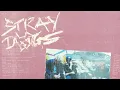 Nothing But Thieves - Stray Dogs (Official Audio)