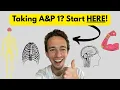 Anatomy Physiology 1 ENTIRE Course Explained in One