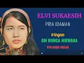 Download Lagu ELVI SUKAESIH  -  pria idaman