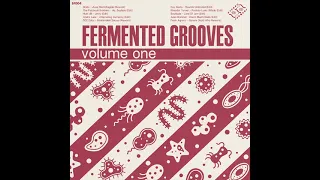 foc edits g nl mdeki saraya rework fermented grooves vol 1 sf004 