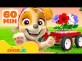 Download Lagu PAW Patrol Pups Grow Plants \u0026 Flowers! w/ Skye #4 🌱 60 Minutes | Nick Jr.