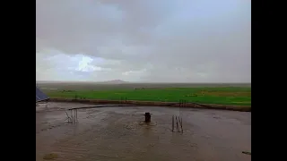  يابو فياظ ودها الرياظ    دندنها