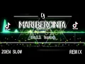 Download Lagu DJ MARI BERCINTA (AURA KASIH) FULL BASS REMIX ZOEN SLOW