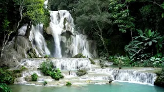 هدهد سليمان عليه السلام للقارئ عصام حمود 