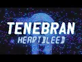 Download Lagu Tenebran  - Heartbleed [Full album]