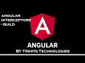 Part 15 Angular Tutorial Angular Interceptor Angular build Deployment