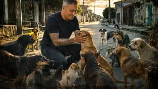Por que tem tanto ANIMAL DE RUA no Brasil?