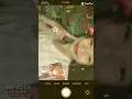 Download Lagu pengen jadi seleb kaya kak hany