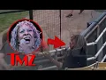 Martha Reeves Critiques Backup Singers Before Viral WPBL Anthem Performance TMZ