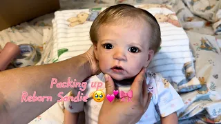 Packing up Reborn Sandie