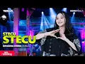 Download Lagu STECU STECU - Difarina Indra Adella - OM ADELLA