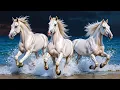 Download Lagu Een Prachtige Melodie Die Je Tot Tranen Toe Roert! Een Verzameling Van De Beste Melodieën Die Je ...
